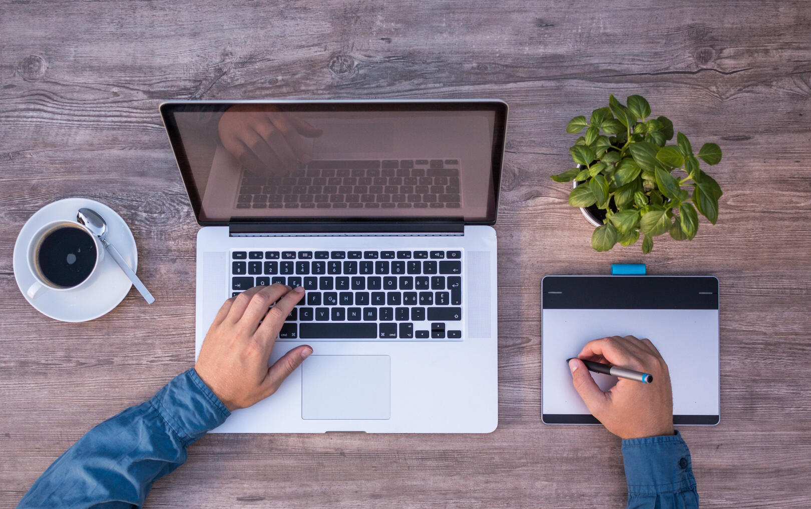 Image by Lukas Bieri from Pixabay